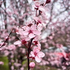 23-03-17 13-28-28 4908